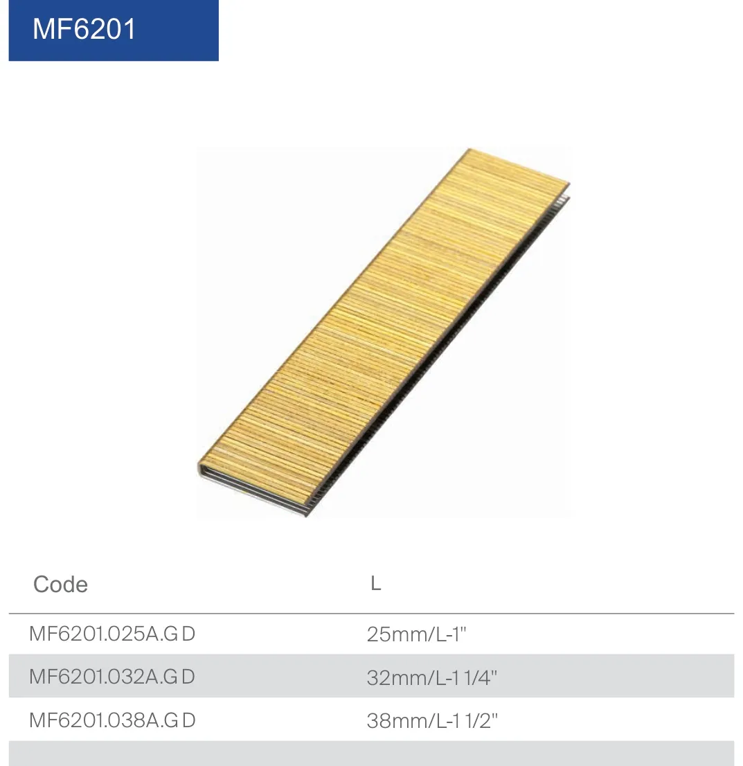 MF6201.jpg